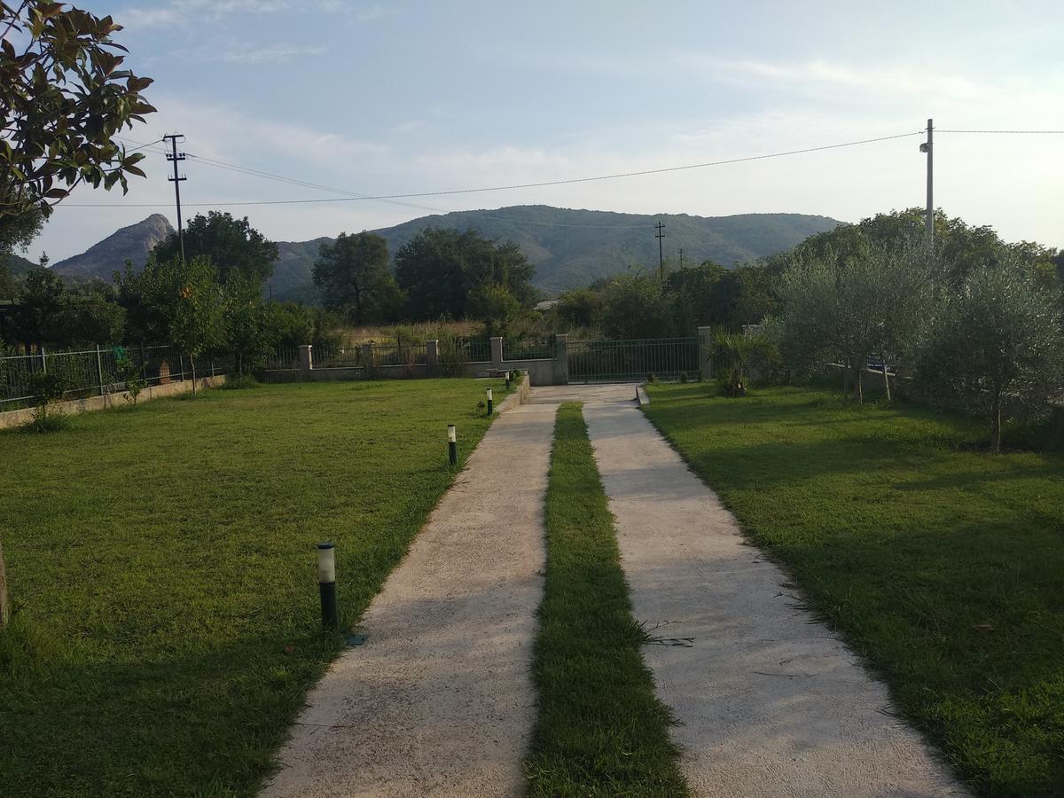Guest House Radulovic Petrovac Ngoại thất bức ảnh